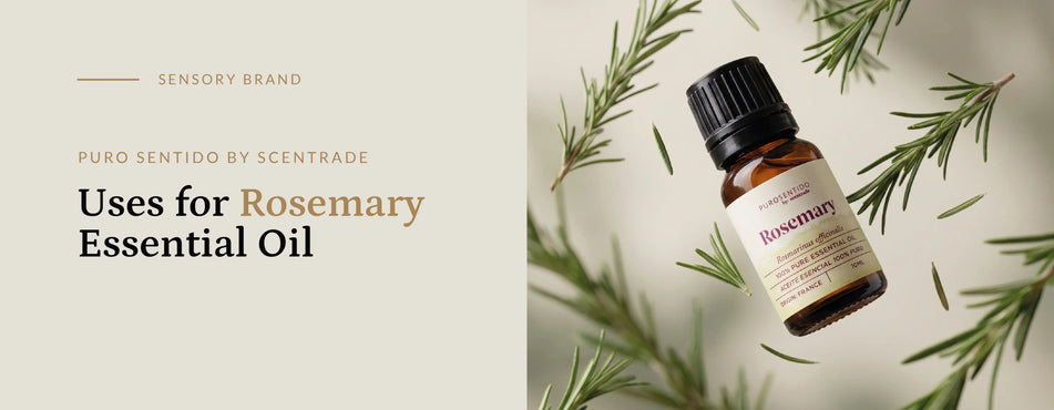 Uses for Rosemary Essential Oil