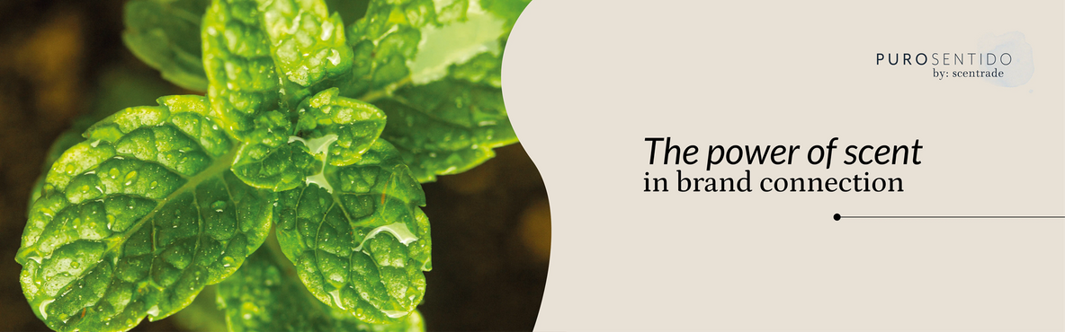 The power of scent in brand connection