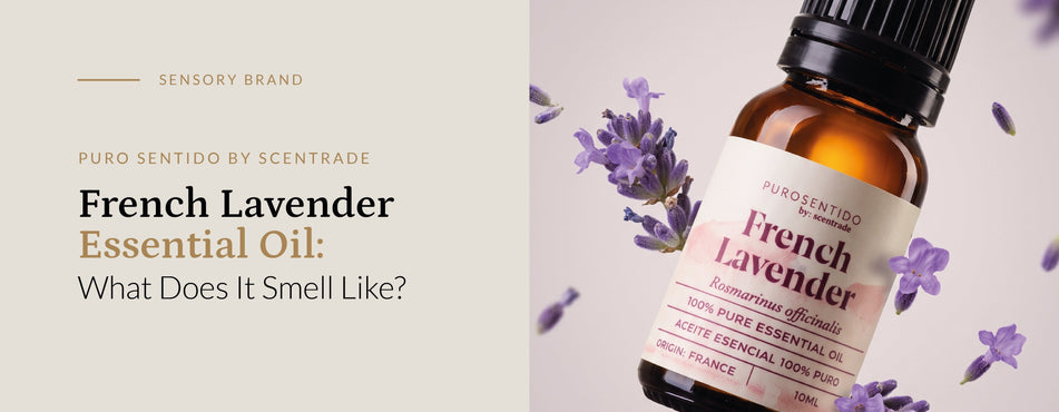 What does french lavender essential oil smell like?