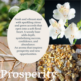Prosperity Fragrance, Scent Oil