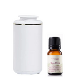 Andante car Diffusser +Essential Oil (10ml)