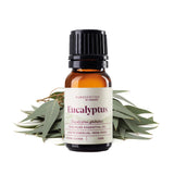 Eucalyptus Essential Oil
