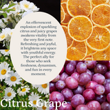 Citrus Grape Aroma Oil Puro Sentido Scent Oil