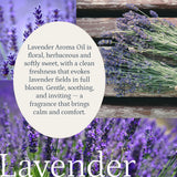 Lavender Aroma Oil Puro Sentido