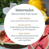 Watermelon Aroma Oil Puro Sentido