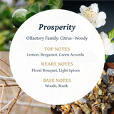 Prosperity Fragrance, Scent Oil
