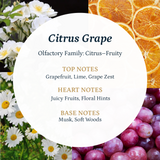 Citrus Grape Aroma Oil Puro Sentido Scent Oil