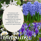 Intriguing Aroma  Oil Puro Sentido