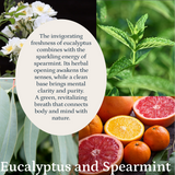 Eucalyptus and Spearmint  Aroma  Oil Puro Sentido Scent Oil