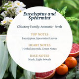 Eucalyptus and Spearmint  Aroma  Oil Puro Sentido Scent Oil