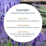 Lavender Aroma Oil Puro Sentido