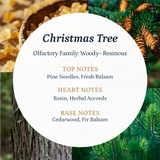 Chrismas Tree  Puro Sentido Scent Oil