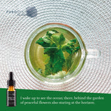 White tea and Thyme Fragrance